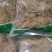 徐长卿干货徐长卿个子切段干净无杂质量大从优