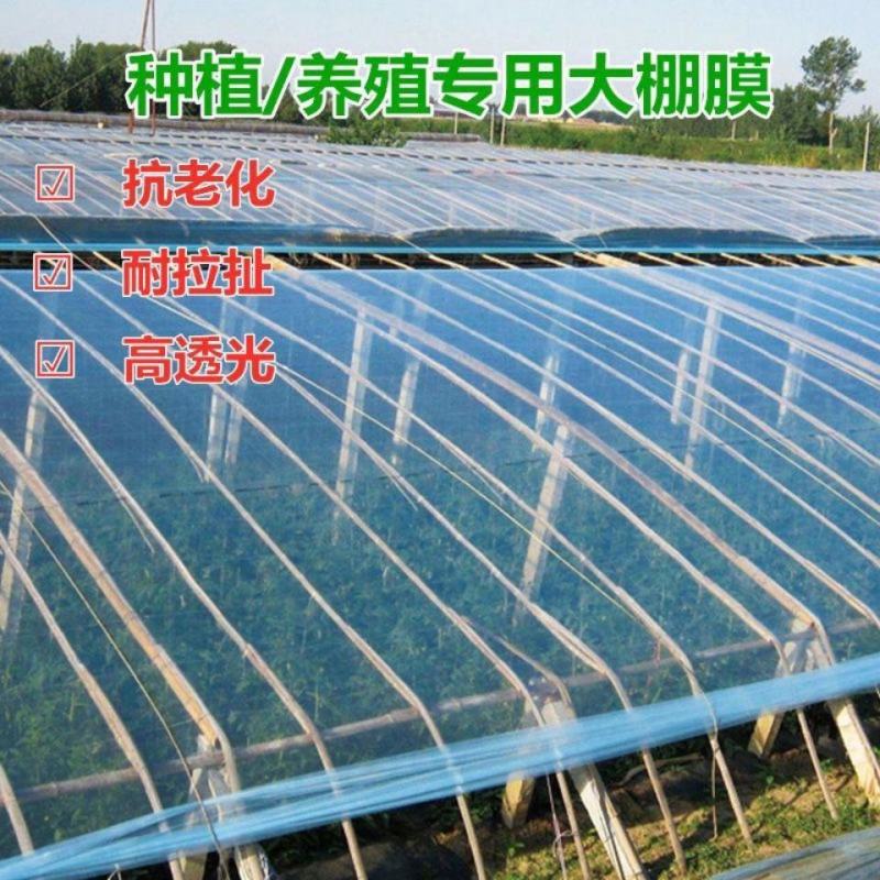 大棚膜精品5+1po膜长寿膜灌浆膜尺寸可定制
