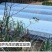 大棚膜精品5+1po膜长寿膜灌浆膜尺寸可定制