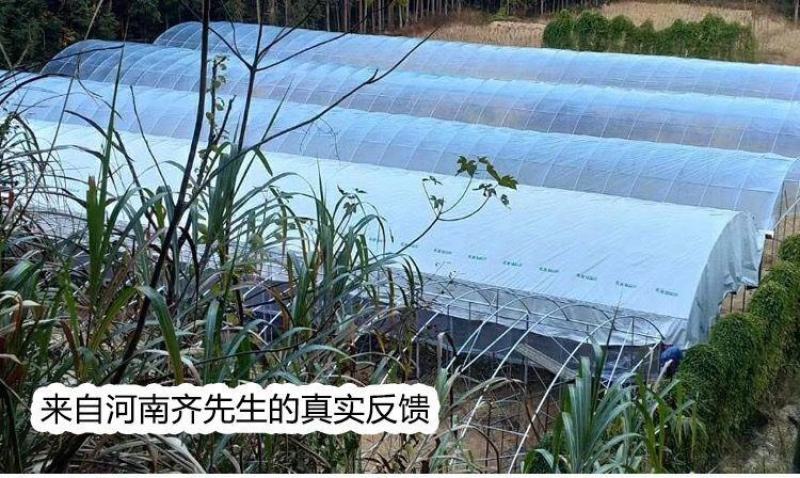 大棚膜精品5+1po膜长寿膜灌浆膜尺寸可定制
