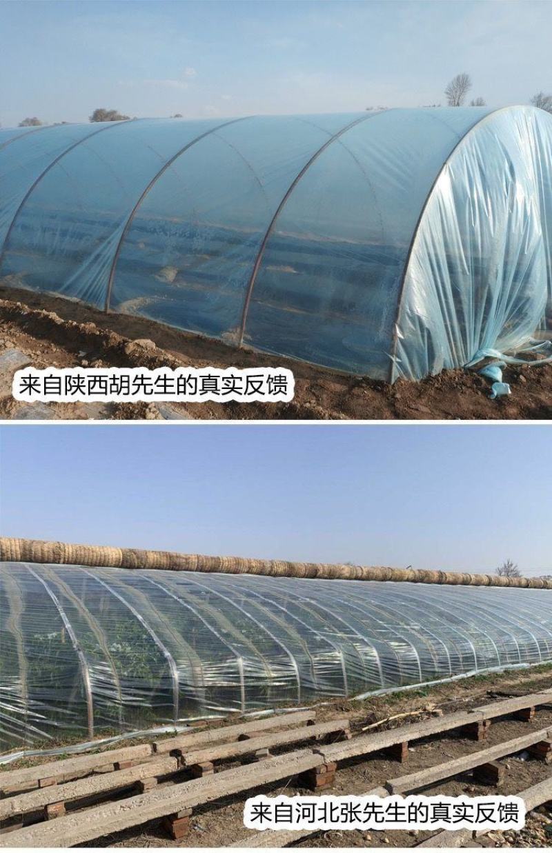 大棚膜精品5+1po膜长寿膜灌浆膜尺寸可定制