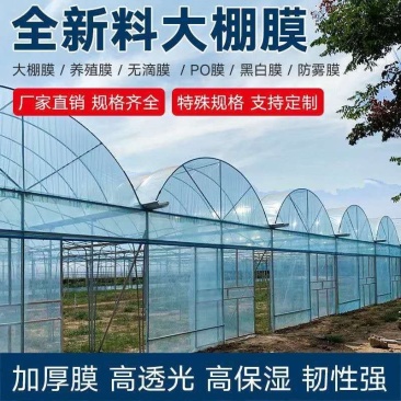 大棚膜精品5+1po膜长寿膜灌浆膜尺寸可定制