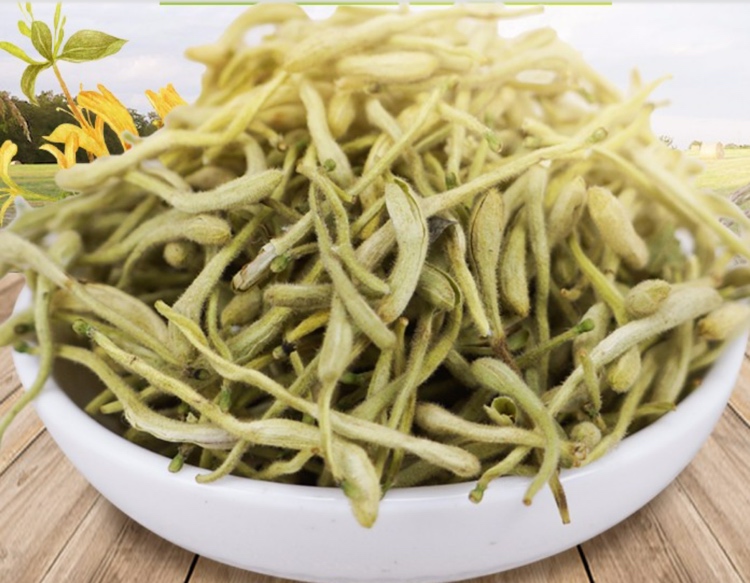 马齿苋与白芷的搭配使用