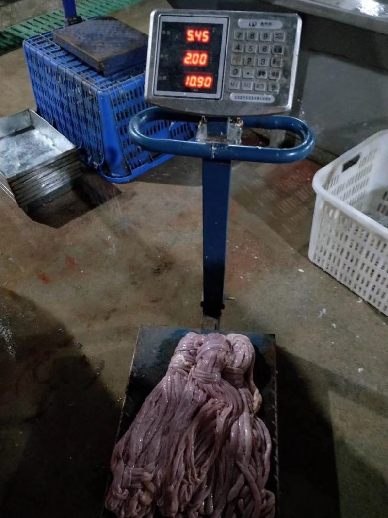 无油猪小肠，猪肠，整条小肠，捆肠，全国各地可以发货