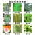 43%戊唑醇白粉病黑星病锈病褐腐病叶斑病炭疽病杀菌剂农药