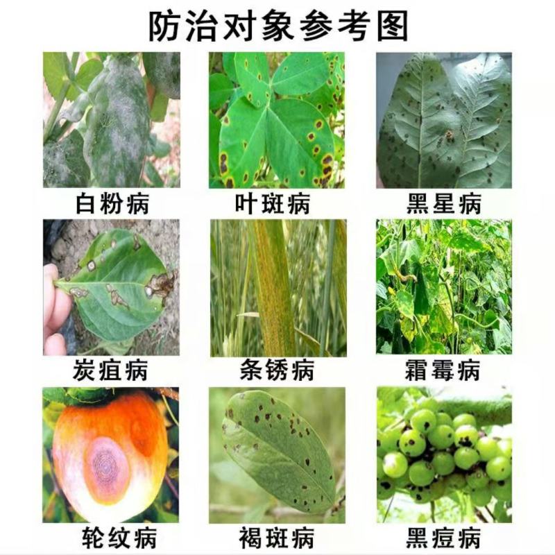 43%戊唑醇白粉病黑星病锈病褐腐病叶斑病炭疽病杀菌剂农药