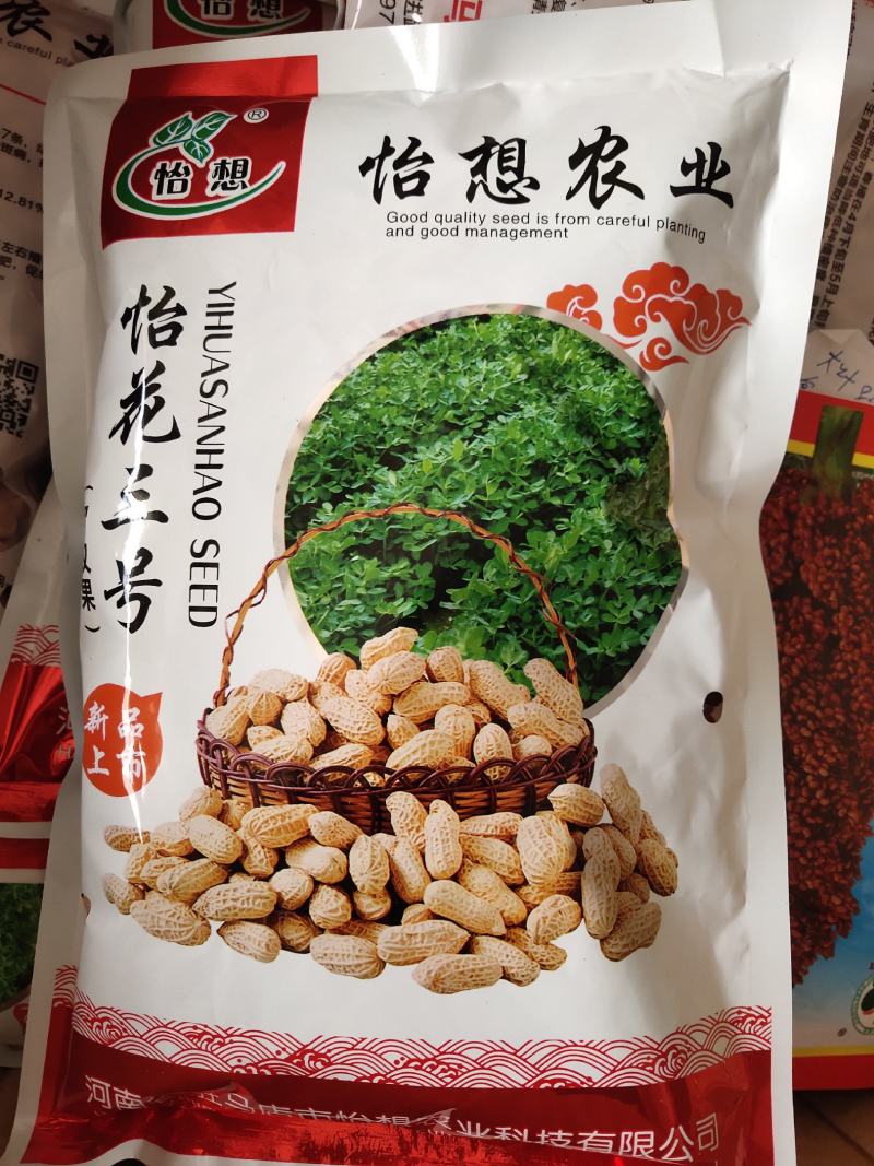 一代杂交花生种子，生育期126天，皮薄肉大