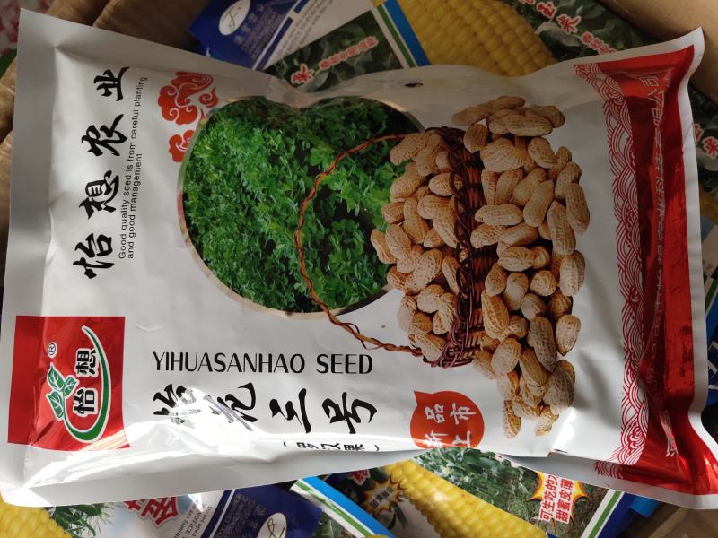 一代杂交花生种子，生育期126天，皮薄肉大