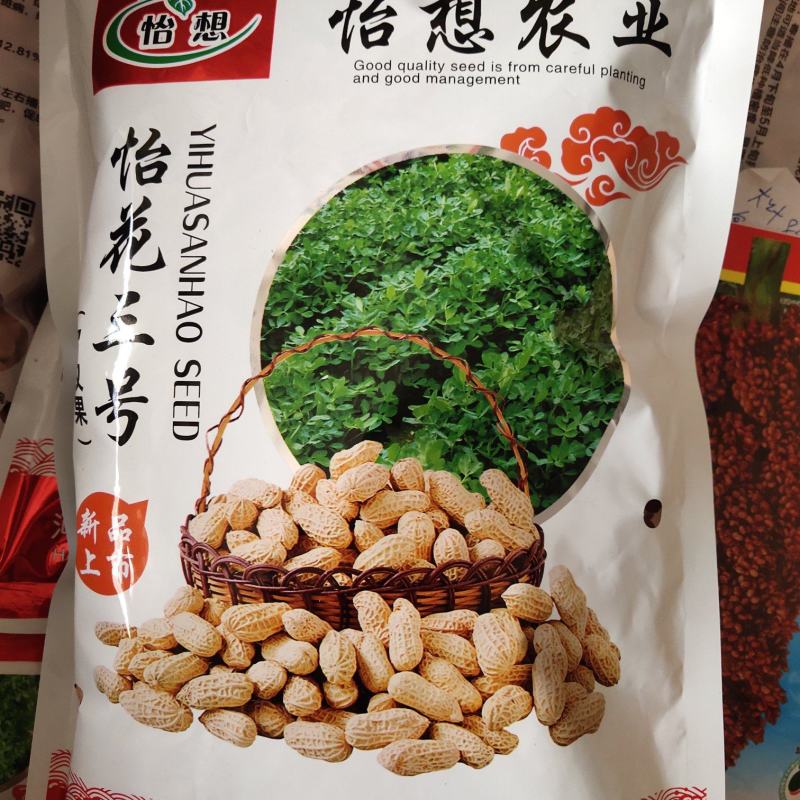 一代杂交花生种子，生育期126天，皮薄肉大