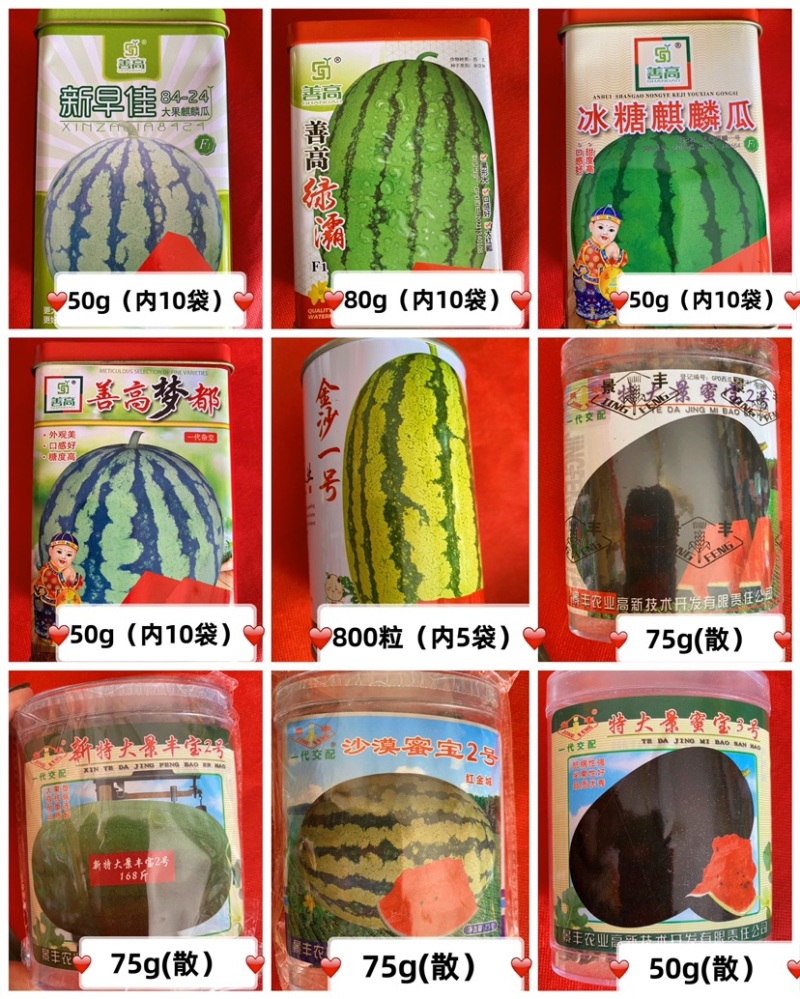 沙漠一号硒沙石头瓜双红瓤金城五号西瓜种子