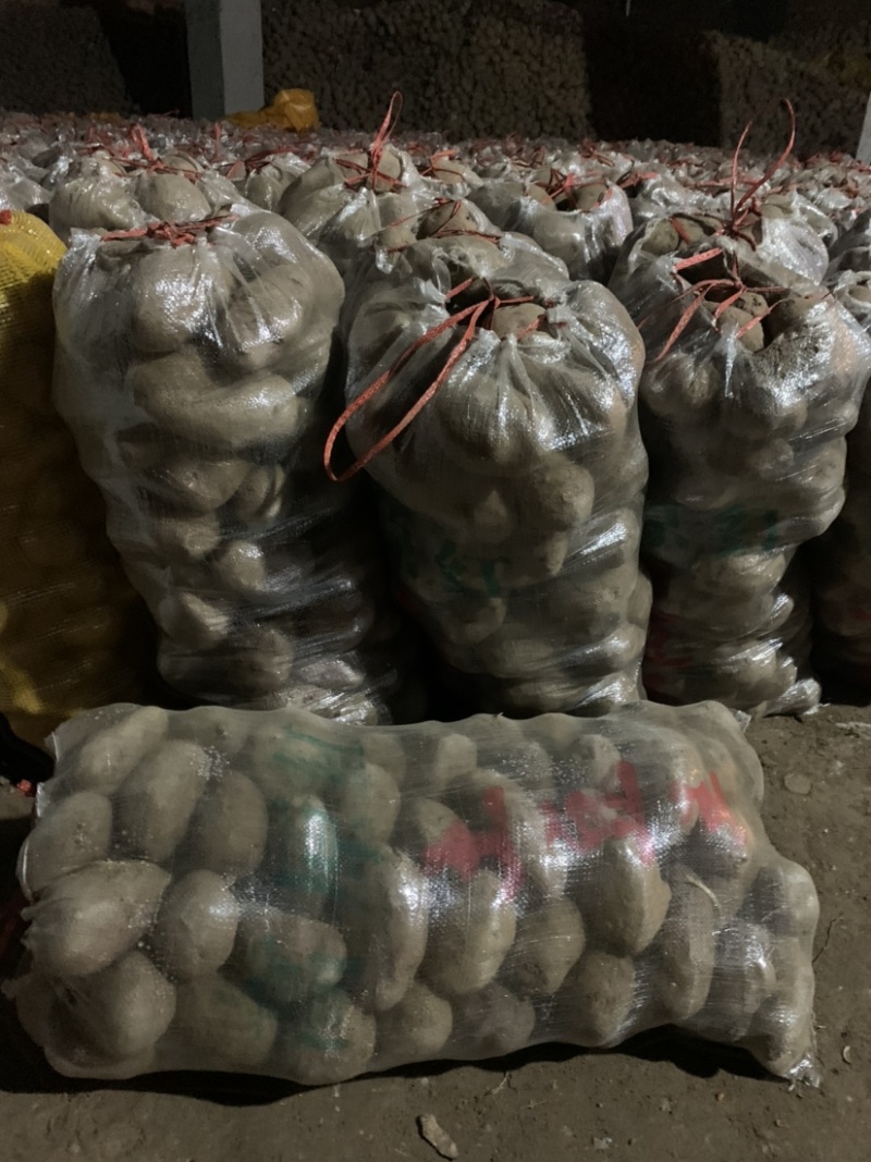【实力商家】青署9号颜色红.口感好.淀粉含量丰富、旱地