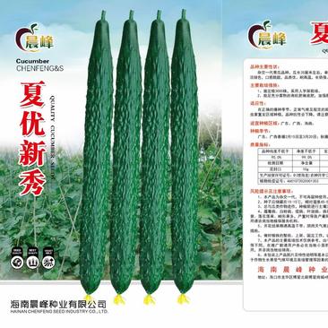 黄瓜种子夏优新秀瓜条顺直把短耐高温长势强厂家发货品质保证
