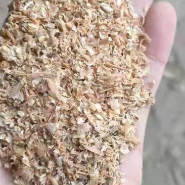 海虾康