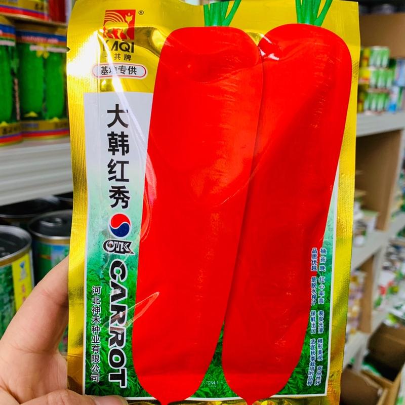 卡其大韩红秀胡萝卜种子基地专用表皮光滑根形美观