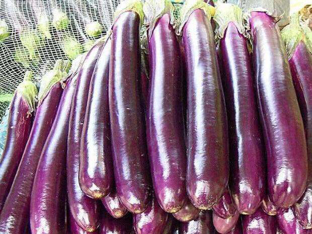 茄子切片展示内部结构