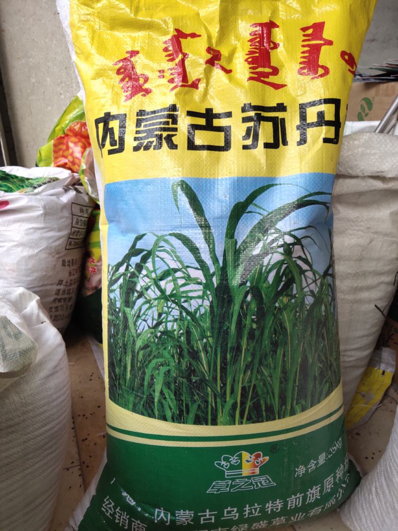 苏丹草种子，三到七月可播种，