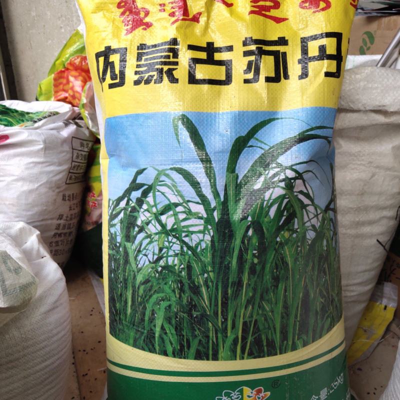 苏丹草种子，三到七月可播种，