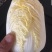 金皇后娃娃菜纯黄心娃娃菜抗病抗出苔产量高囗感好