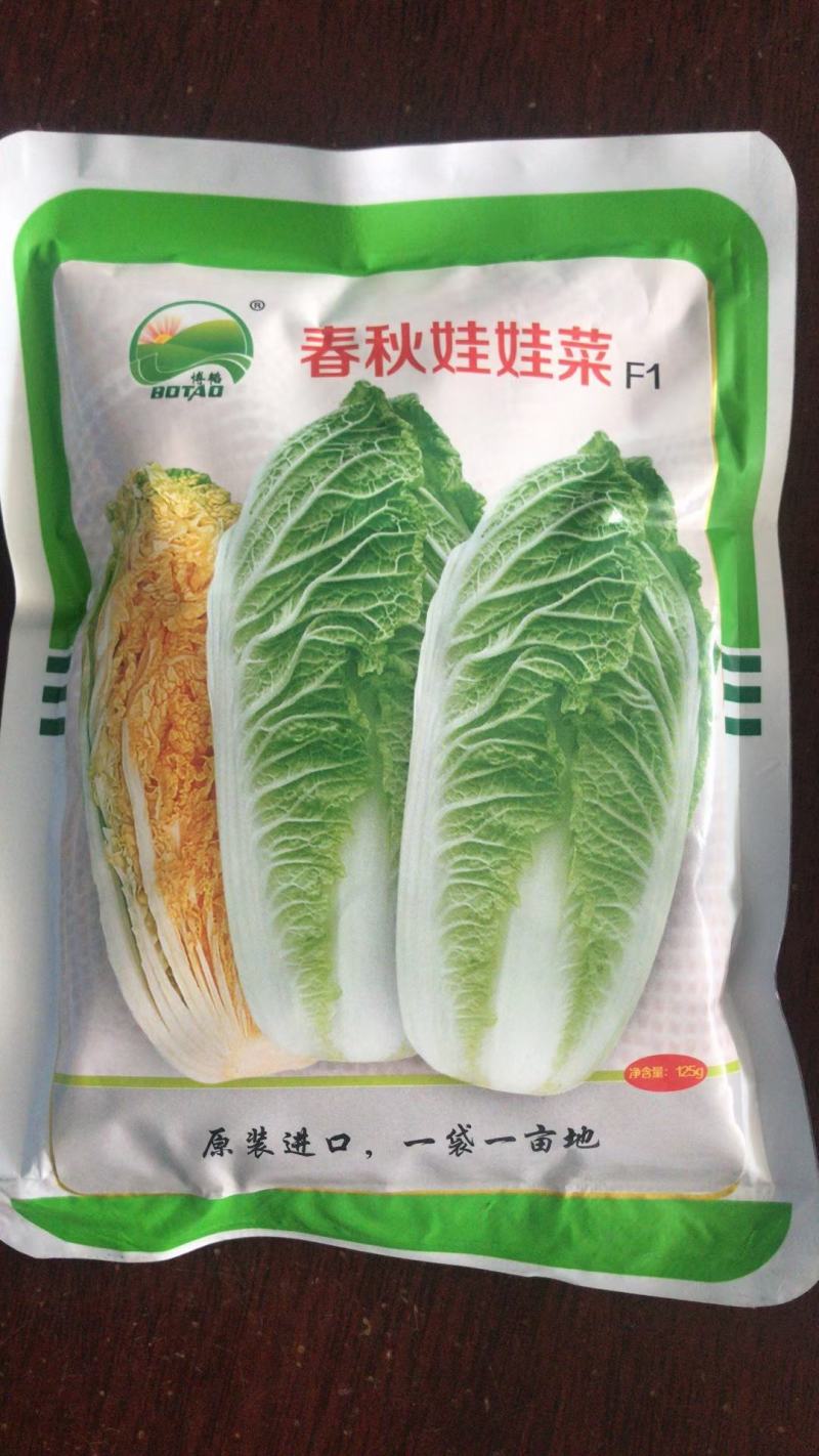 金皇后娃娃菜纯黄心娃娃菜抗病抗出苔产量高囗感好