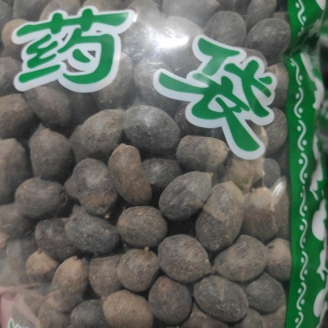 双肾子石莲子冷背中药材干货干净无杂质欢迎选购