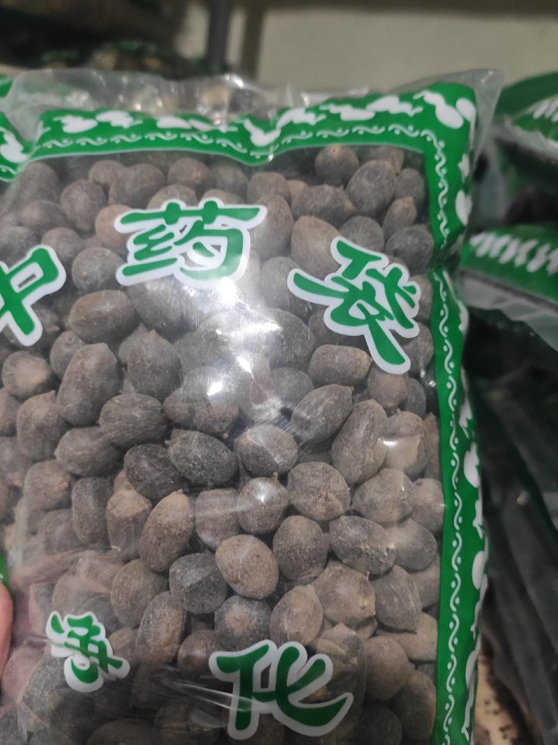 双肾子石莲子冷背中药材干货干净无杂质欢迎选购