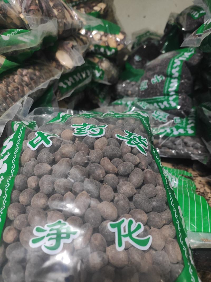 双肾子石莲子冷背中药材干货干净无杂质欢迎选购