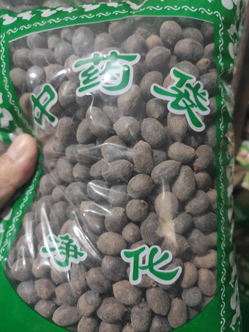 双肾子石莲子冷背中药材干货干净无杂质欢迎选购