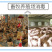 生石灰块鱼塘畜牧养殖场蔬菜刷树净化水质消毒石灰粉50斤