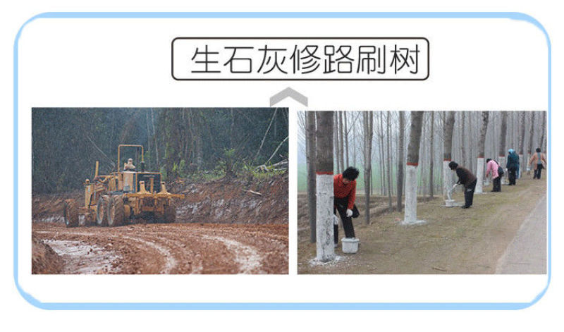 生石灰块鱼塘畜牧养殖场蔬菜刷树净化水质消毒石灰粉50斤