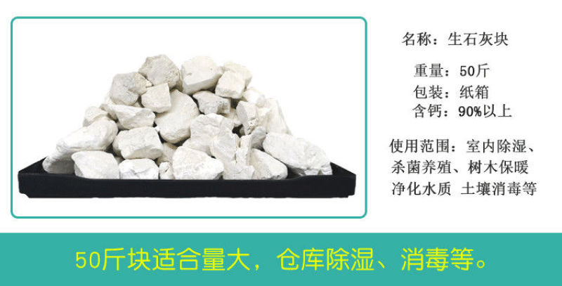 生石灰块鱼塘畜牧养殖场蔬菜刷树净化水质消毒石灰粉50斤