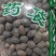 双肾子石莲子冷背中药材干货干净无杂质欢迎选购