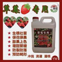 草莓专用水溶肥，厂家直销，质量保证，量大从优