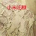 小米油糠（高端）蛋白脂肪26-30饲料厂用