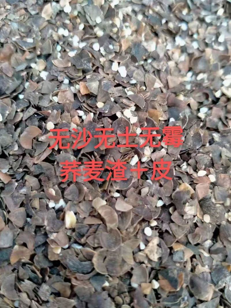 营养荞麦皮牛羊鸭鹅都爱吃，顶草顶料！干净无杂质，无霉变