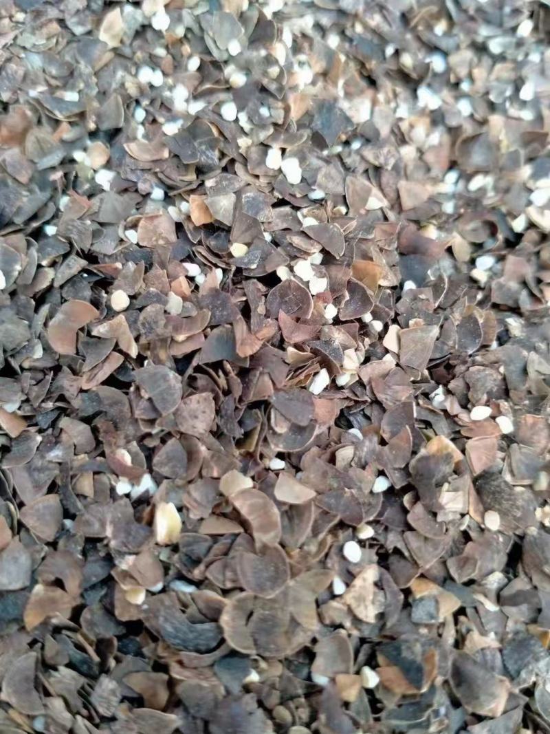 营养荞麦皮牛羊鸭鹅都爱吃，顶草顶料！干净无杂质，无霉变