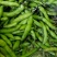 青蚕豆胡豆时令蔬莱