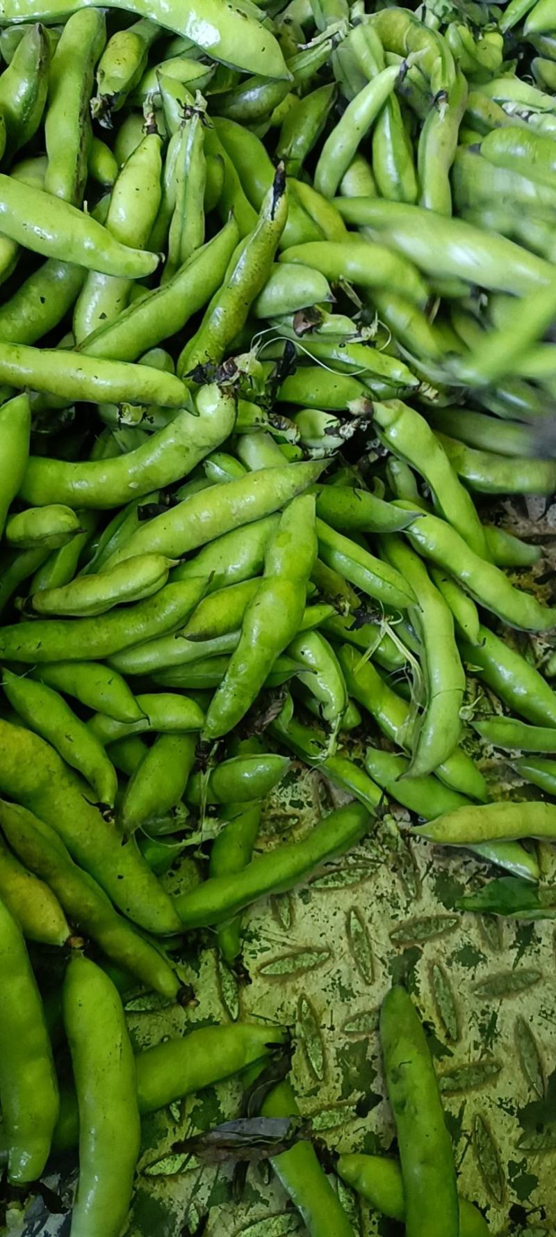 青蚕豆胡豆时令蔬莱