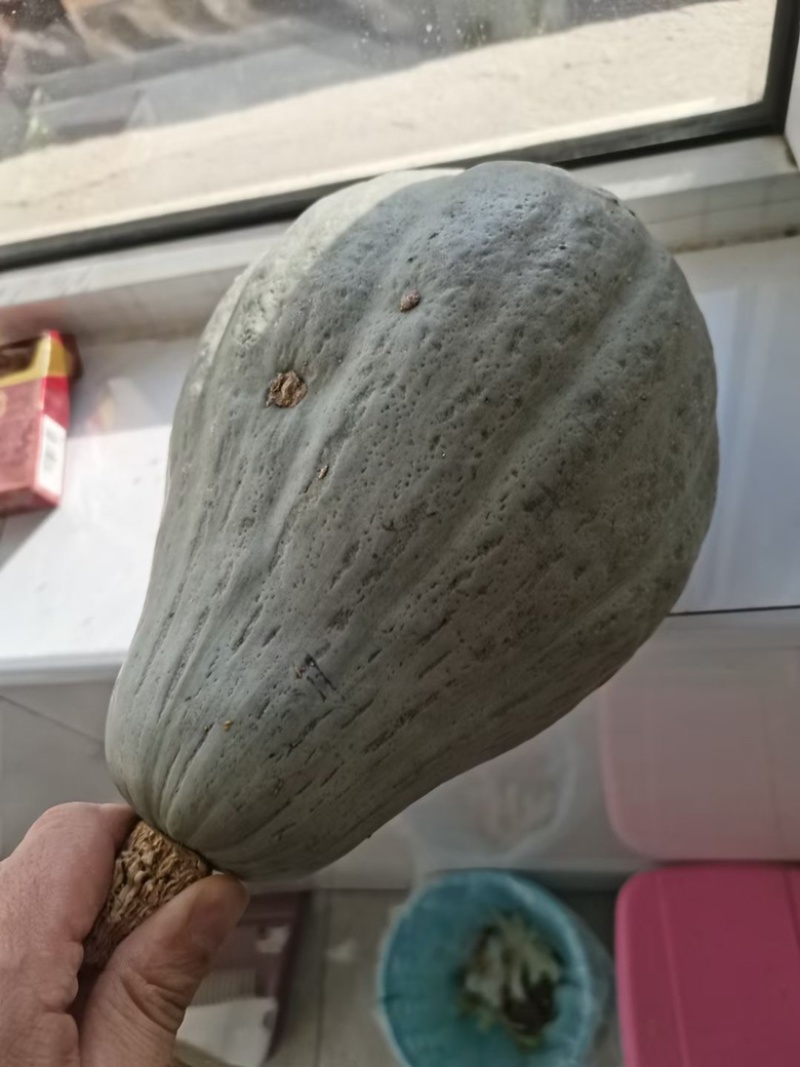 精品贵族南瓜，耐储存，口感好，粉面甜，欢迎各位老板。