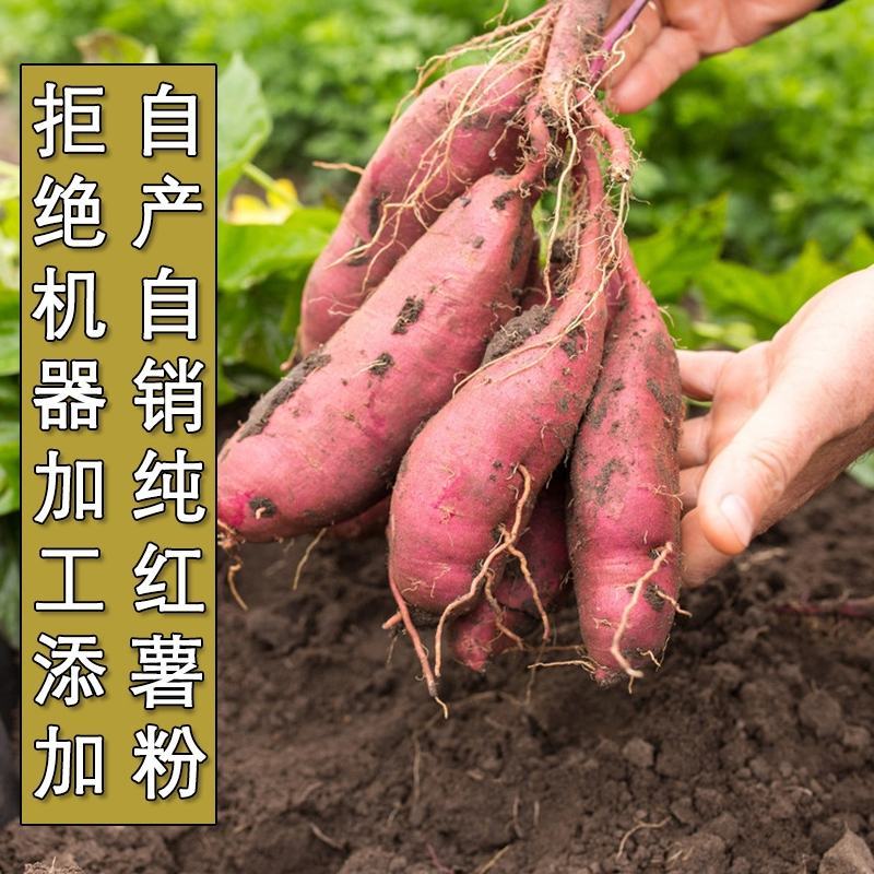 红薯粉条酸辣粉细粉正品纯农副产品地瓜粉条扁粉火锅炖菜厂家