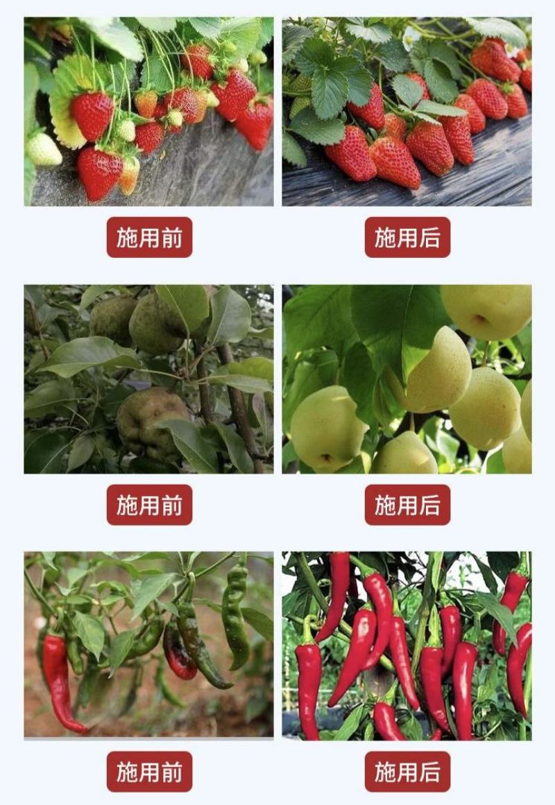 膨果黄金钾甲壳素黄腐酸大量微量元素冲施肥膨果上色生根壮苗