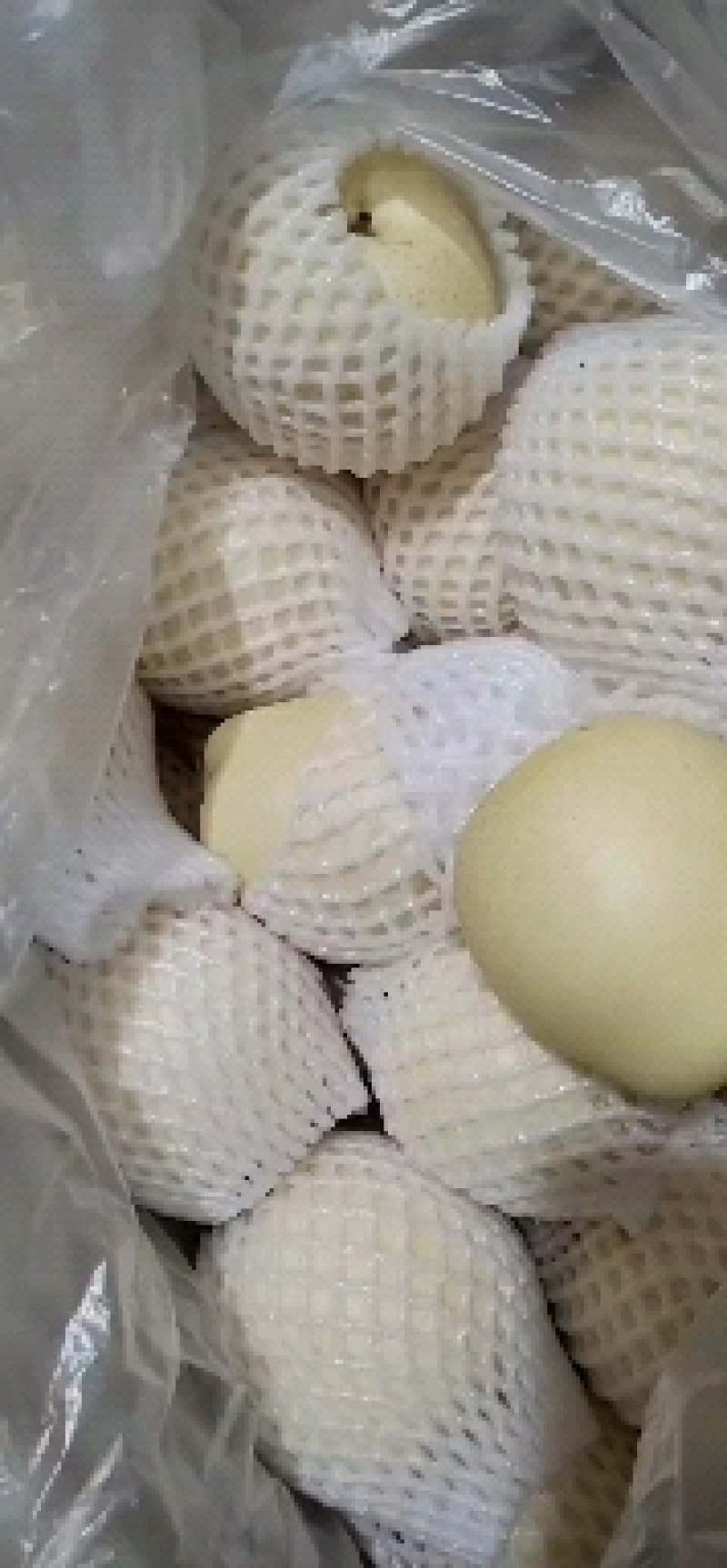 皇冠梨大量上市产地直供价格便宜，冷库货，欢迎光临