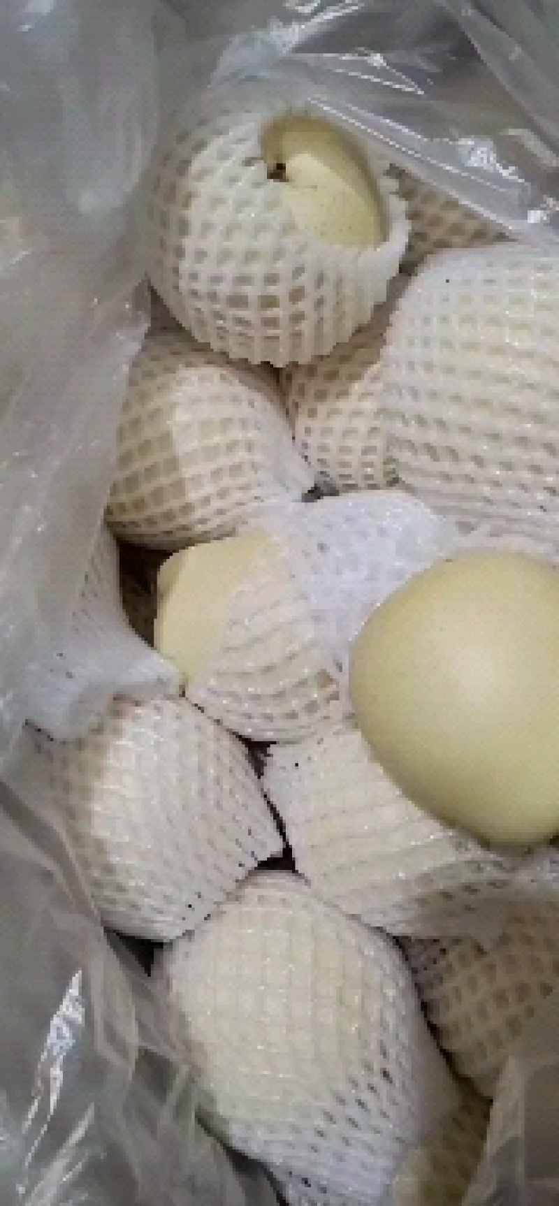 皇冠梨大量上市产地直供价格便宜，冷库货，欢迎光临