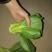 食品加工菜精品上海青大菜，现挖现发，住宿装车一条龙服务