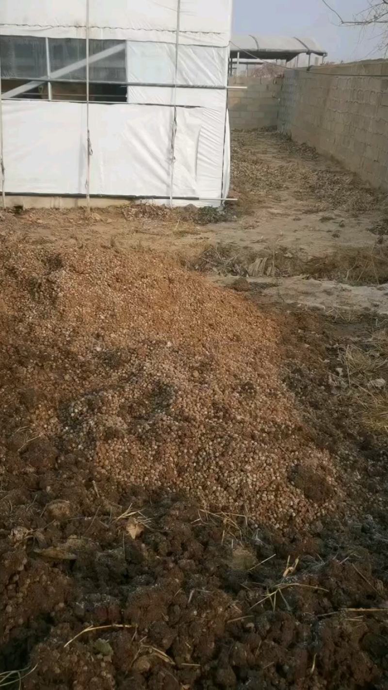 散装羊粪蛋羊粪颗粒花卉瓜果蔬菜有机肥整车发货