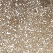 散装羊粪蛋羊粪颗粒花卉瓜果蔬菜有机肥整车发货