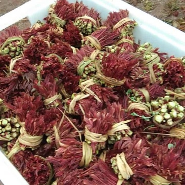 红油香椿芽