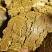 【推荐】棉籽饼果蔬蘑菇肥料用大量现货欢迎咨询