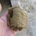 【推荐】棉籽饼果蔬蘑菇肥料用大量现货欢迎咨询