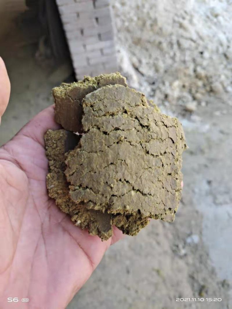 【推荐】棉籽饼果蔬蘑菇肥料用大量现货欢迎咨询