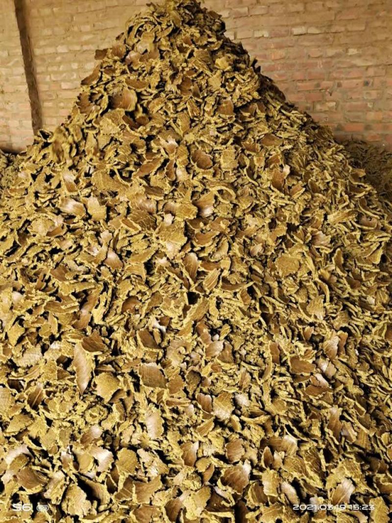 【推荐】棉籽饼果蔬蘑菇肥料用大量现货欢迎咨询